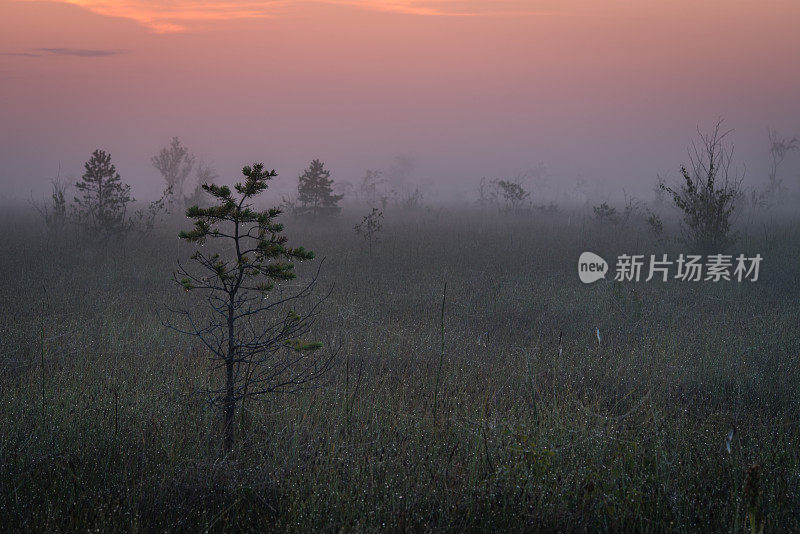 奇妙的自然景观