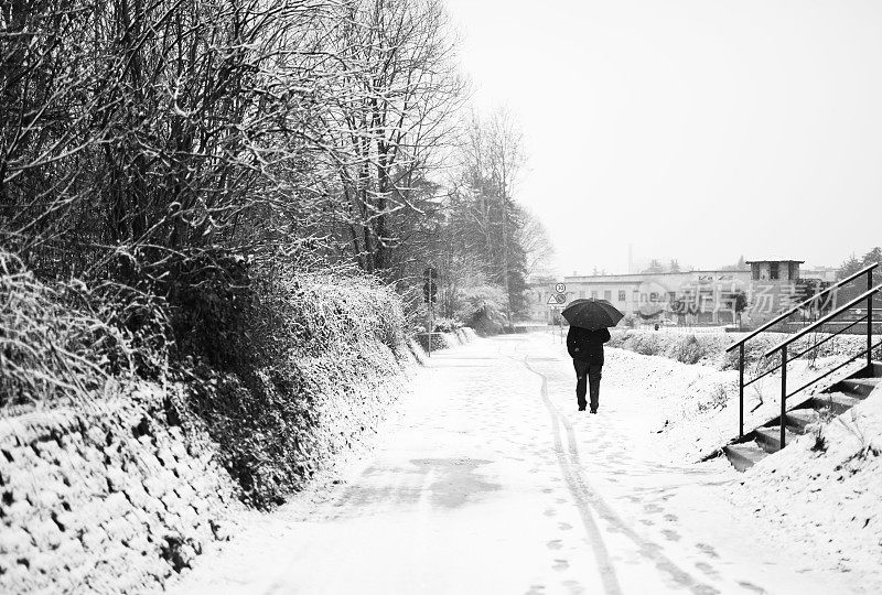 在下雪期间在街上行走的人的后视图