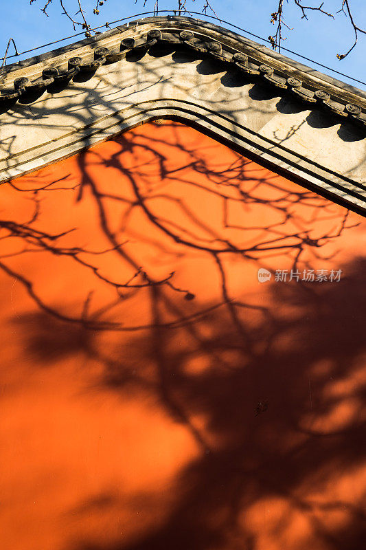 树木的影子映在紫禁城的红墙上