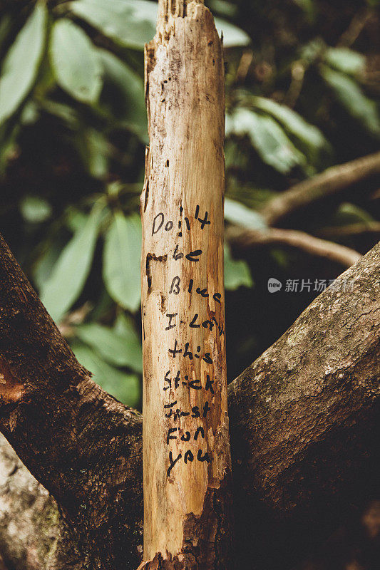 在户外远足时发现的写在木棍上的激励信息