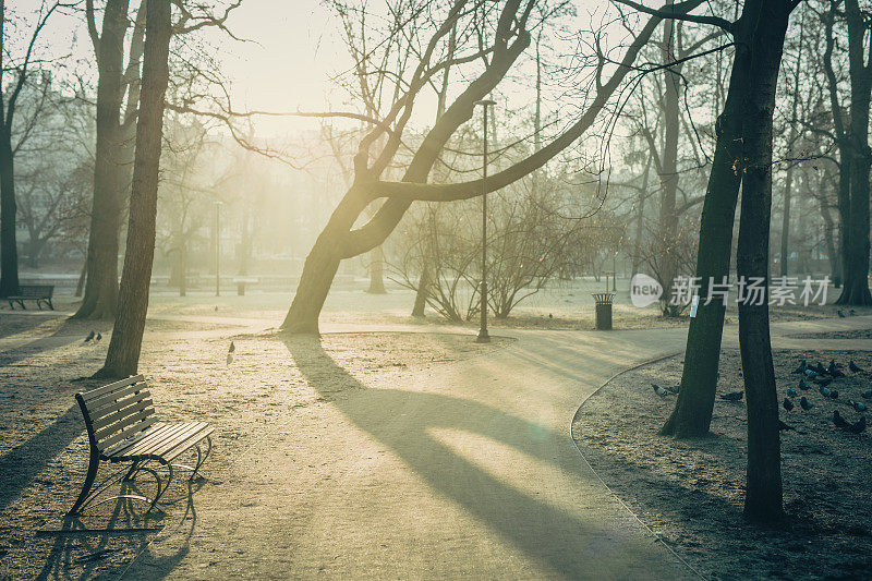 早上好，在克拉科夫公园的长椅上