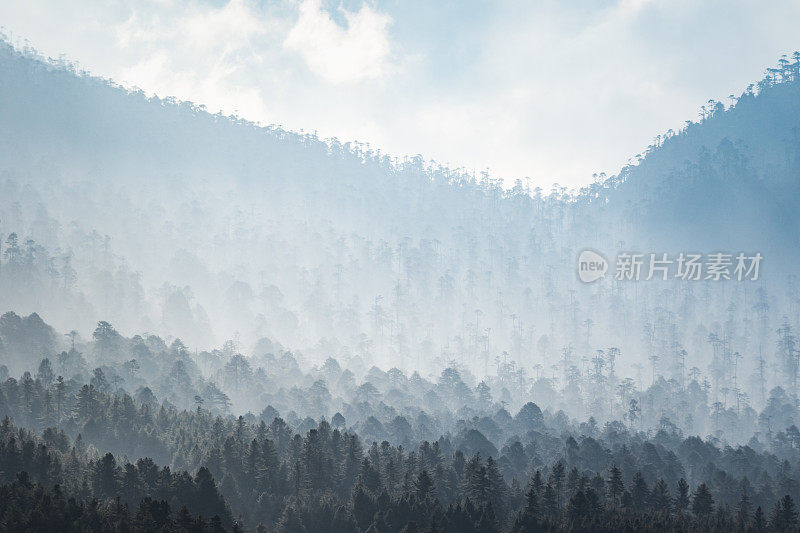 Phobjikha山谷景观与戏剧性的光线从阳光过滤通过雾霾在森林