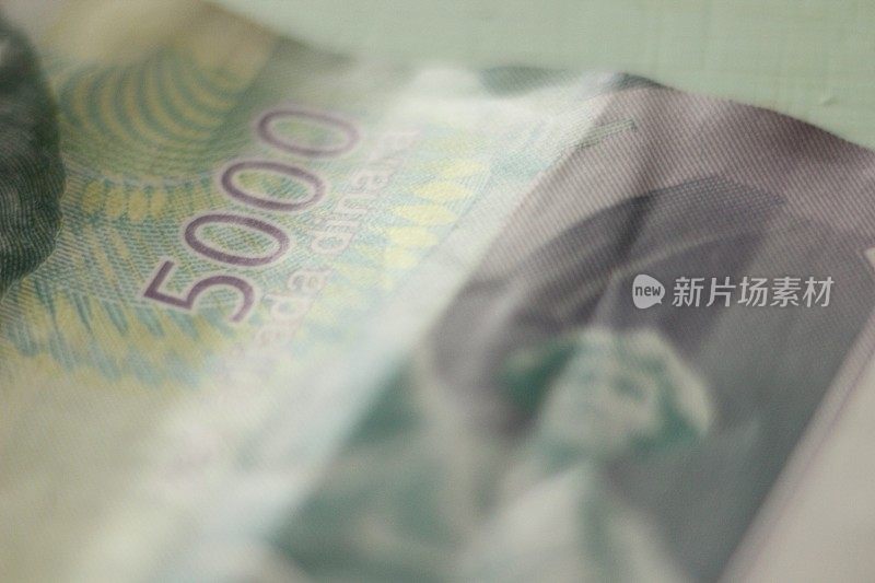 塞尔维亚第纳尔纸币5000元