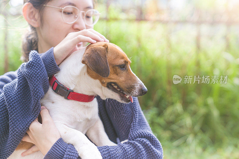 亚洲家庭十几岁的女孩玩好玩的她的宠物杰克罗素梗狗在花园在夏天的早晨