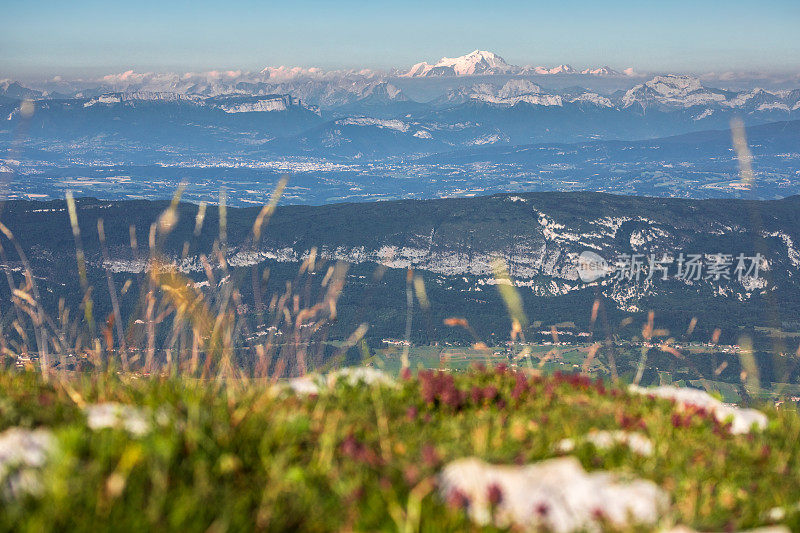 从大Colombier山和阿尔卑斯山的勃朗峰在夏季背景的法国风景萨伏伊，朱拉和艾因部门的观点