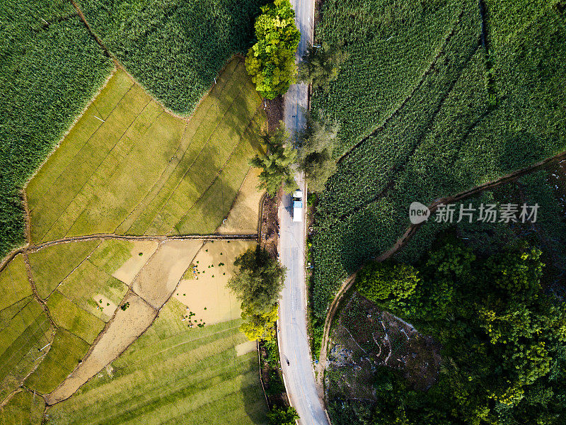 穿过中国稻田和甘蔗田的道路在空中盘旋