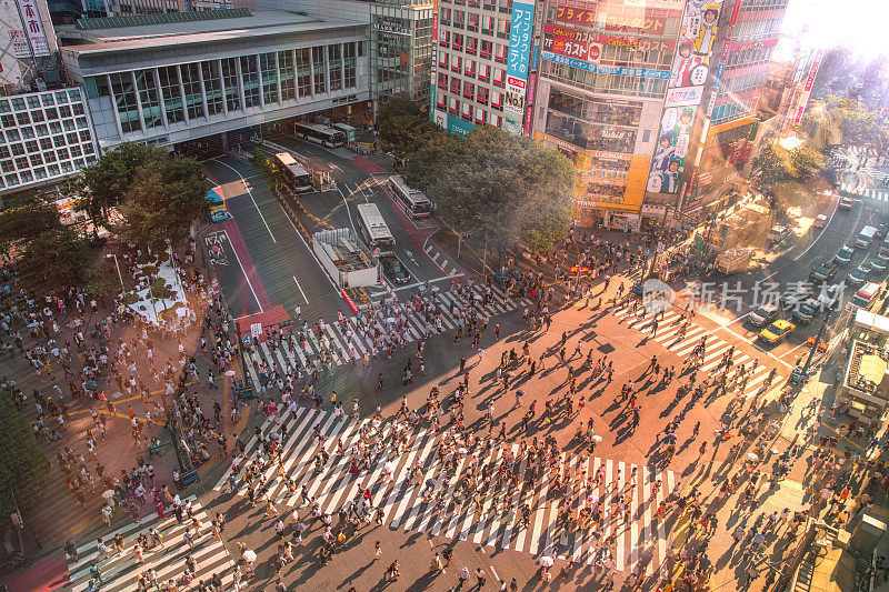 日本东京涩谷鸟瞰图