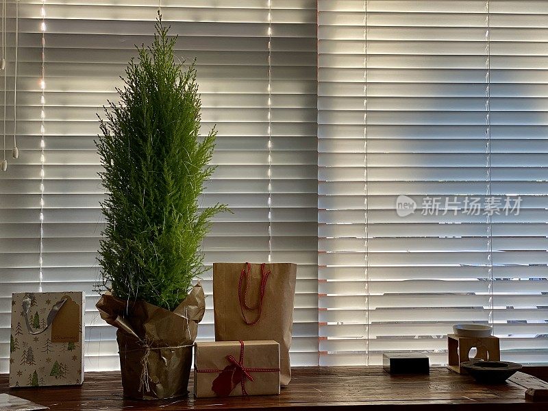 客厅的桌子上放着圣诞树和礼物