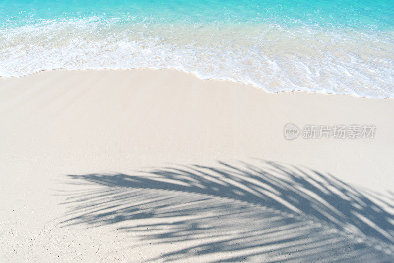 夏天海滩背景