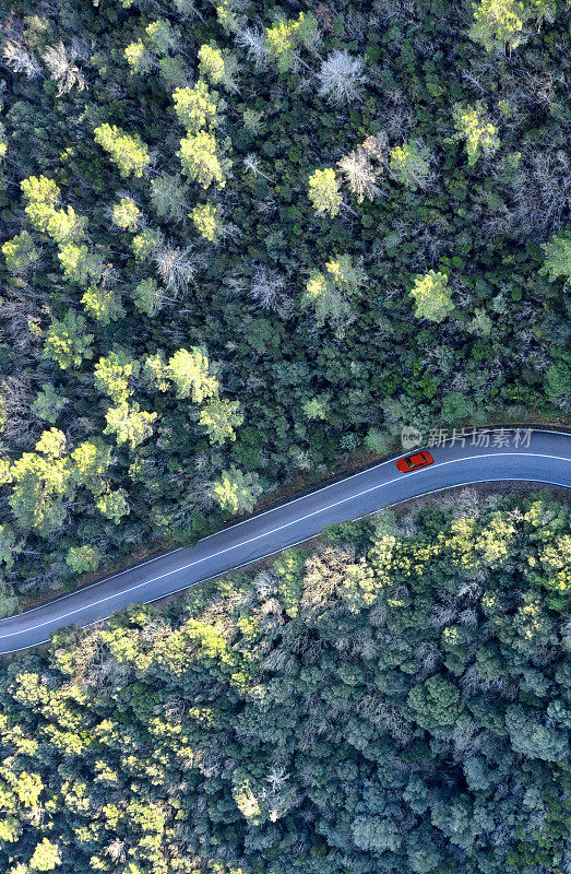 汽车在穿过森林的乡村道路上的鸟瞰图。