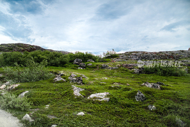 这是一座布满苔藓、青草和小灌木的岩石山