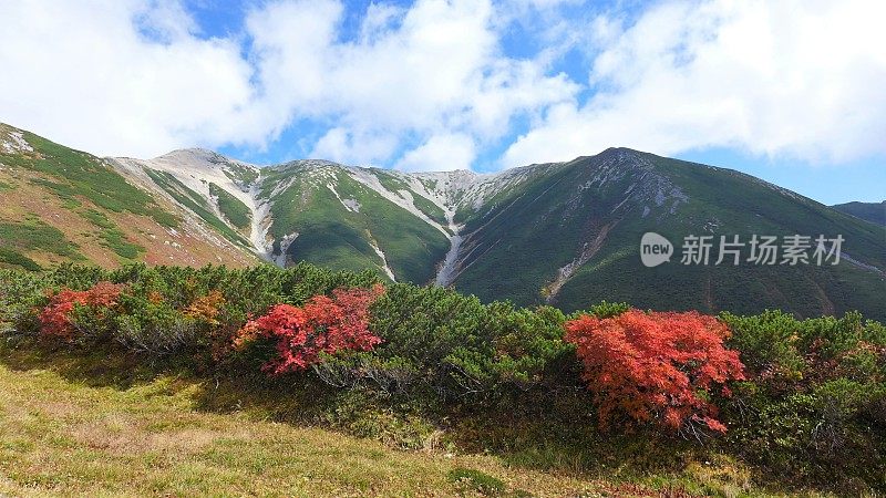 日本Yakushidake(100座名山)，中部sangaku国家公园(中部山国家公园)