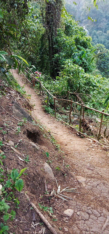 山间小路