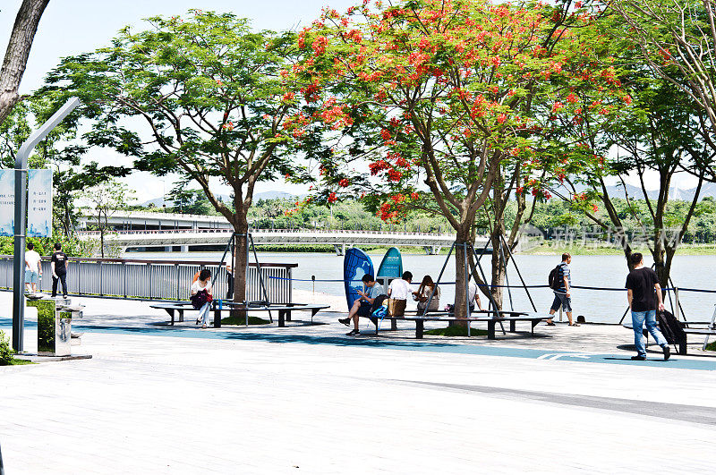 在中国深圳的深圳人才园，游客们在树荫下躲避烈日。这个公共主题公园与深圳湾公园和湾体育馆相连