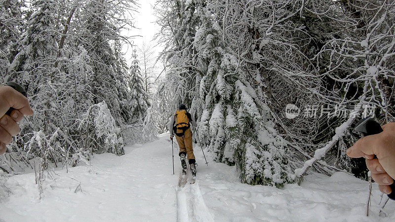 POV过去滑雪杆，年轻人滑雪通过森林与新鲜降雪