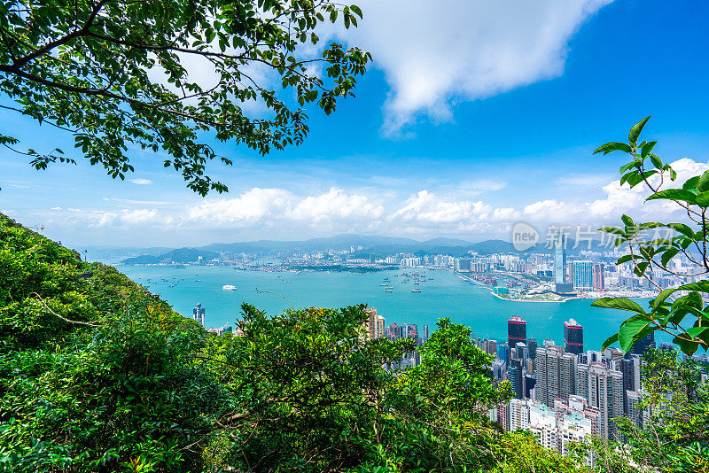 香港日出摩天大楼拥挤的城市景观和海港全景中国