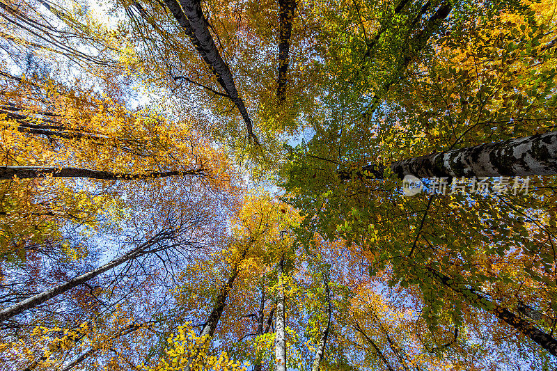 叶迪戈勒国家公园(七湖)的秋天