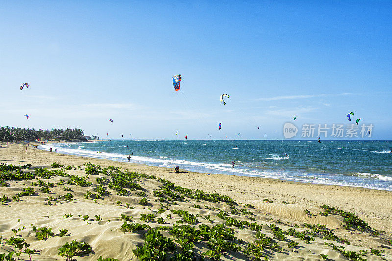 卡巴雷特海滩的风筝冲浪者