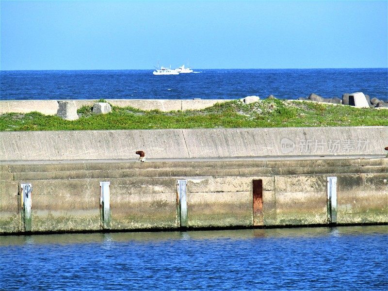 日本。7月。地平线上有码头和白色船只的海景。