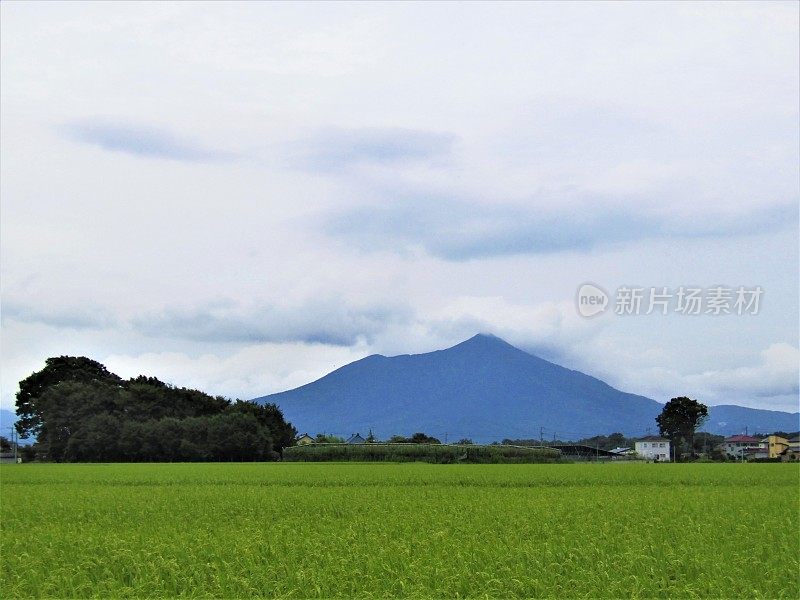 日本。8月。蓝山筑波。