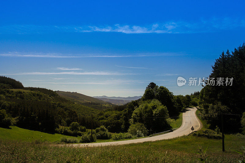 空旷蜿蜒的道路穿过森林和山丘