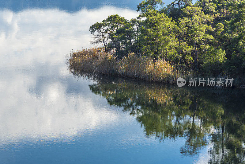 湖岸的森林，天空中的云在水面上的倒影