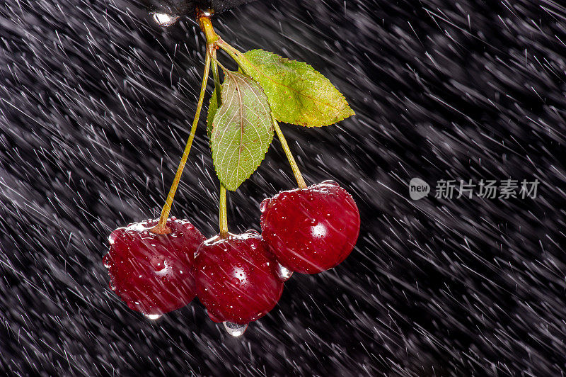 三个樱桃与雨的效果在黑色的背景上