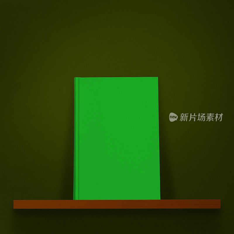 绿皮书在书架上