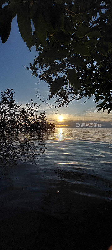 自然之美-亚马逊的夏天