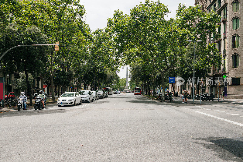 巴塞罗那有树的大道