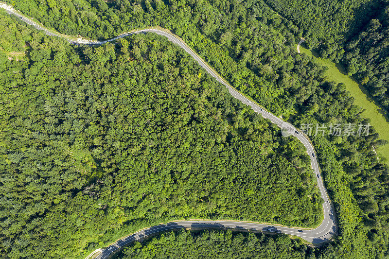 森林中蜿蜒道路上的交通，鸟瞰图