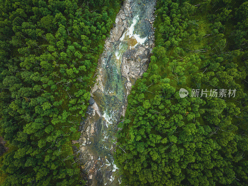 河流流经绿色森林景观