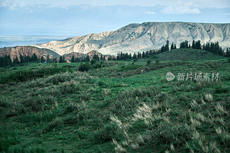 夏季山脊的高角度视图