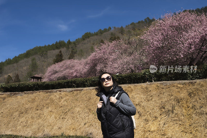 户外的快乐时光，台湾春天的樱花