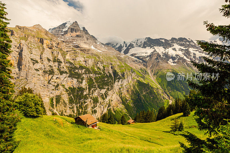 山的风景。Lauterbrunnen。瑞士。伯尔尼州。穆伦村庄。夏天。绿草