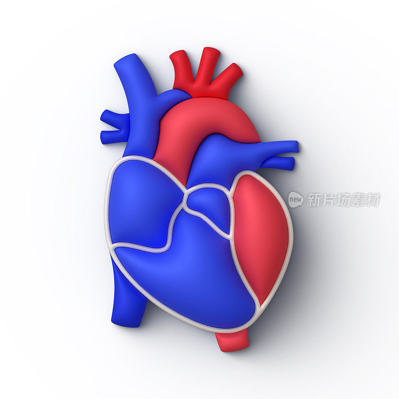人体心脏概念医学插图