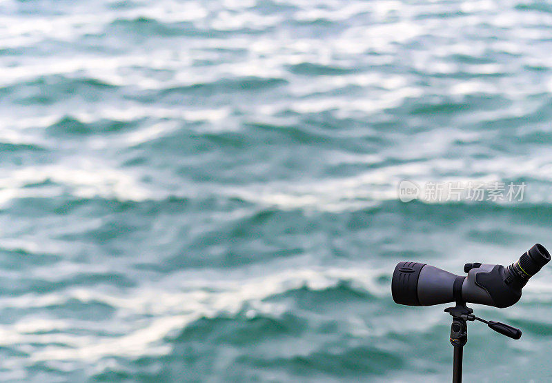 长焦透镜用于观察海鸟的长焦透镜或望远镜文本空间