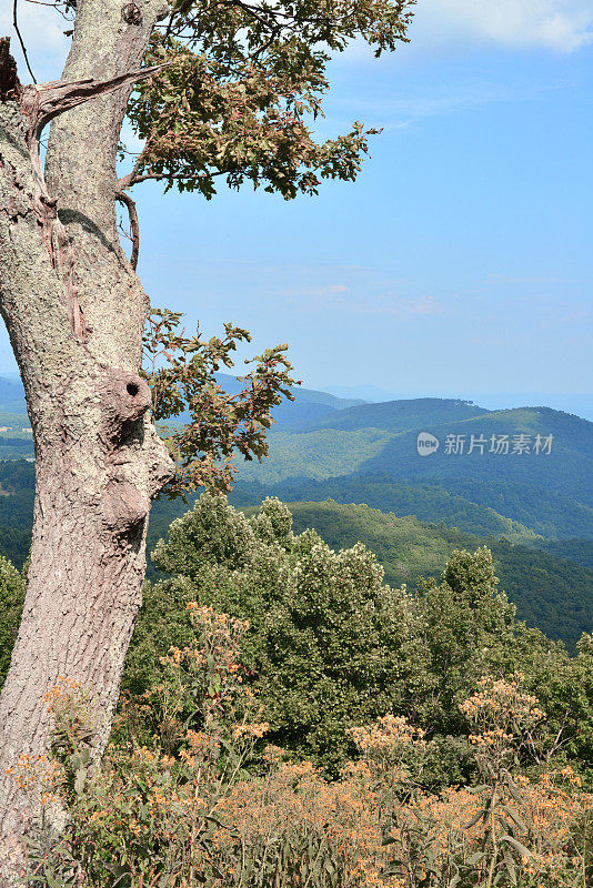 阿巴拉契亚山脉的景色