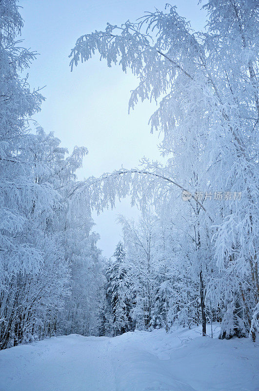 冬天的景色在一个雪覆盖的道路