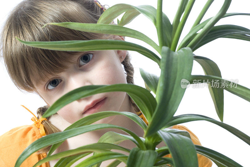 女孩绿植物，可爱，孩子圆润植物