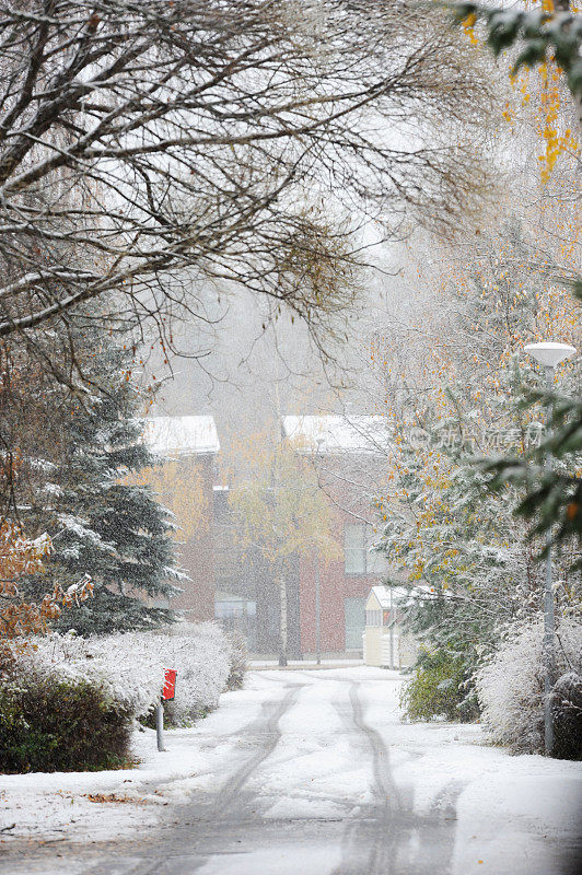 城市下雪了