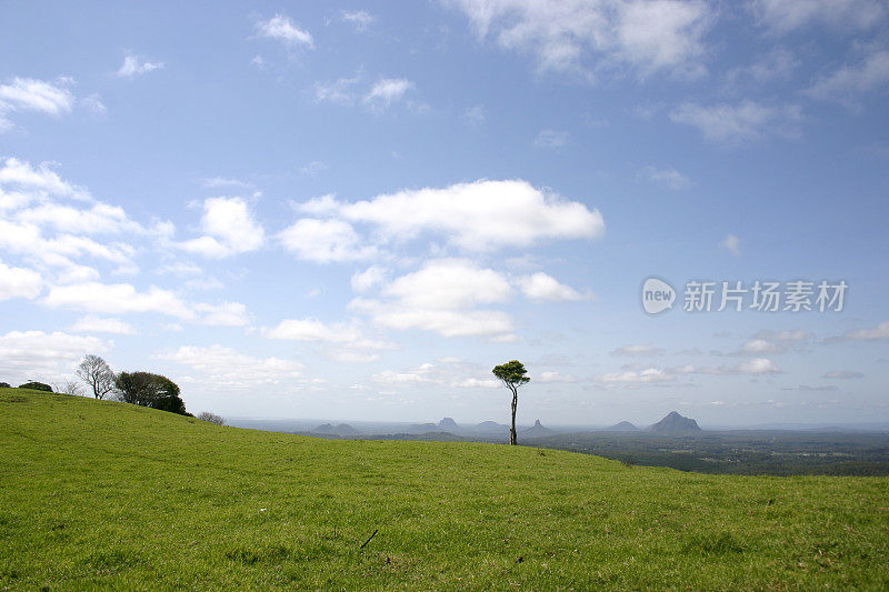 玻璃屋山与前景树