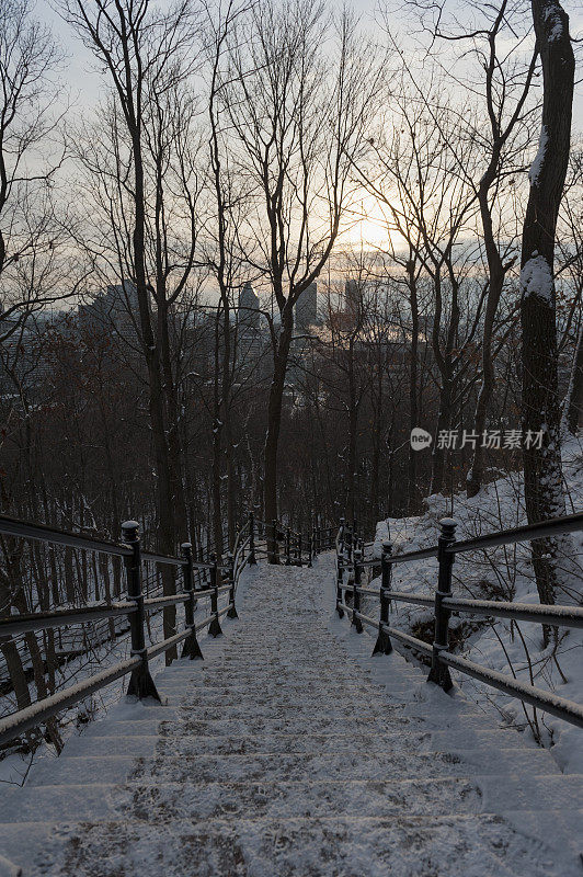 第一场雪从树林中看到了蒙特利尔