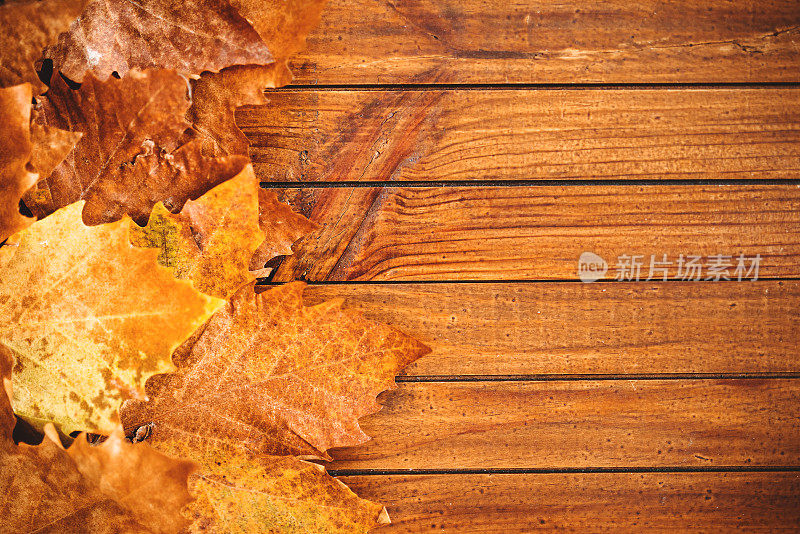 秋天的枫叶在木板上