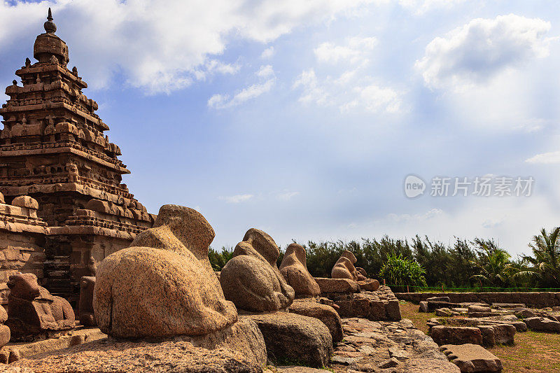 印度马哈巴利普兰——8世纪的海滨寺庙和花岗岩奶牛