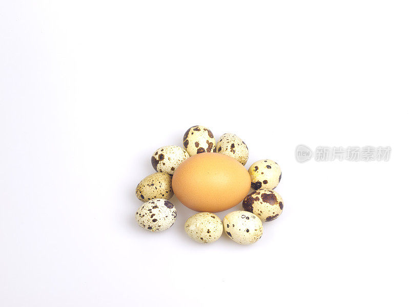 米色鸡蛋，周围是白色斑点鹌鹑蛋。