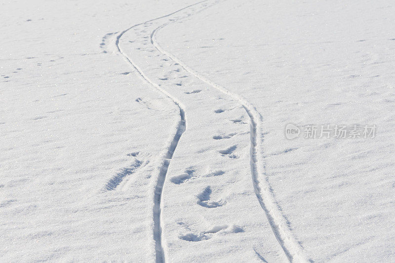 雪地上的脚印。