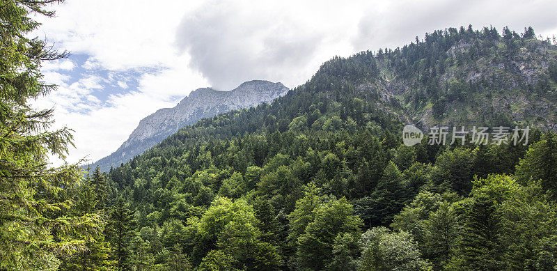 高山景观