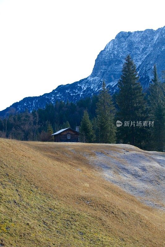 冬季草地，森林和巴伐利亚山脉