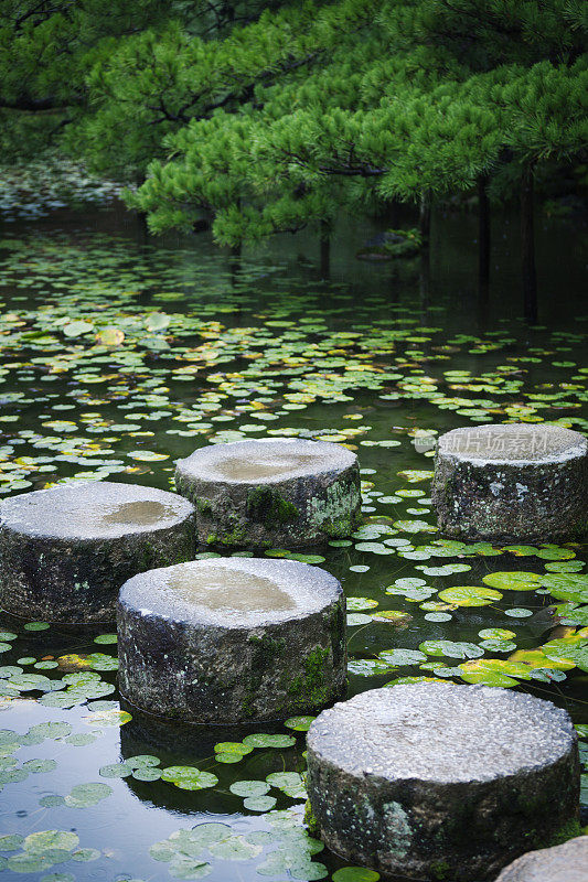 平安神道神社花园中的池塘踏脚石